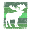 Elk
