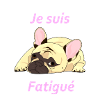 bouledogue francais