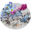 Birds with flowers