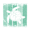Schildkröte