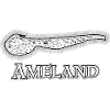 Ameland | Antique map | Treasure map