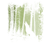 Forest Howling Wolf Silhouette