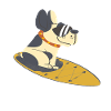 Stand up paddling | SUP | Paddleboarding