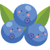 Blaubeere