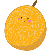 Cantaloupe melon
