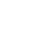 Circle icon brush white