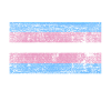 Transgender Flagge Trans Flag Pride