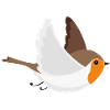 Bird flying robin