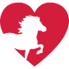 Islandpferd