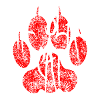 THE BLACK CAT