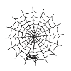 Spinnennetz mit Spinne am Faden