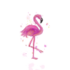 Pink Flamingo Sommer Karibik Sonne
