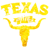 texas bull skeleton