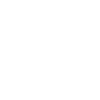 texas bull