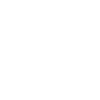symbole squelette taureau texas