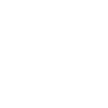 Early Adopter
