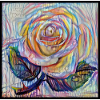 White rose