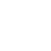 Raccoon animal