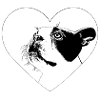 Dog bulldog Boston Terrier