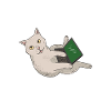 Programmer cat