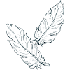 White feathers