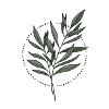 Feuilles Conception mandala