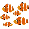 Goldfish, clownfish, sea, nemo fish
