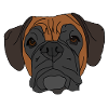 Boxer Dog Face Design
