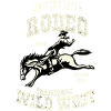 Wild West Rodeo