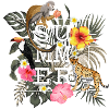Summer in the Jungle