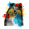 Sheltie Wasserfarben Bunt