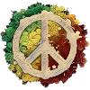 Peace and Love