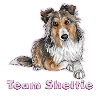 Team sheltie