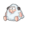 Sheep funny