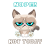, Dachshund Cat, Nope, Not Today