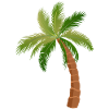 palm tree palm trees