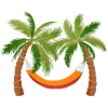 palmier hamac arbre vacances palmiers