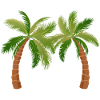 palm tree palm palms