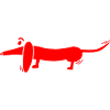 dachshund