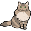 Norwegian forest cat