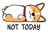 Sleeping lazy dog