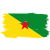 Grunge French Guiana flag