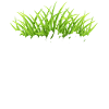 Rasenflüsterer Gärtner Rasen