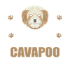 Cavapoo dog shirt gift idea