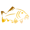 Carp – Carp fishing