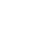Two white feathers