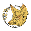 Cute desert fox