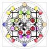 Stem cell