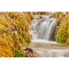 Talking water 1