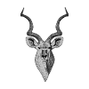 Kudu